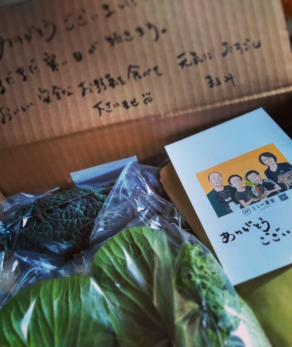 お野菜のセット