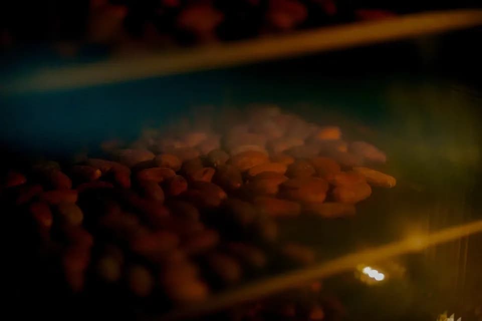 【ハーフサイズ】手作りハイカカオチョコレート/カカオときび砂糖のみ/乳化剤・保存料無添加