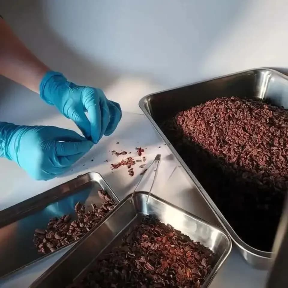 【ハーフサイズ】手作りハイカカオチョコレート/カカオときび砂糖のみ/乳化剤・保存料無添加