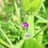 サムネイル 5