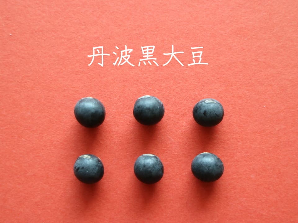 豆【お正月用　丹波黒大豆　２００g】本場丹波篠山産の丹波黒です