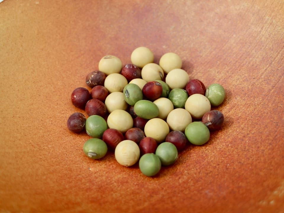 豆【さらだ豆　２００g】赤・白・青で料理をぐんと華やかに