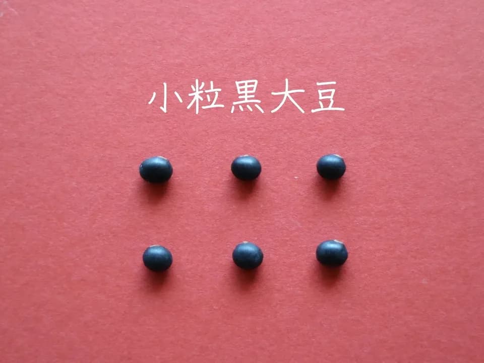 豆【小粒黒大豆　２００g】忙しい時にこそ使って欲しい、小粒なお豆さん