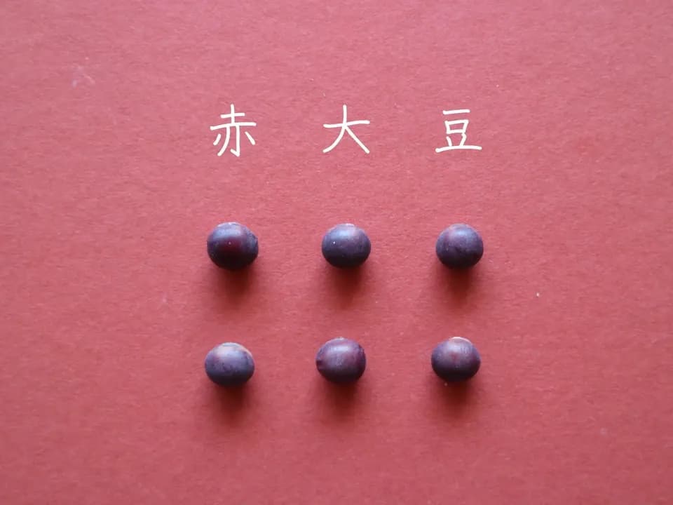 豆【赤大豆　２００g】料理に彩りを添える大豆です