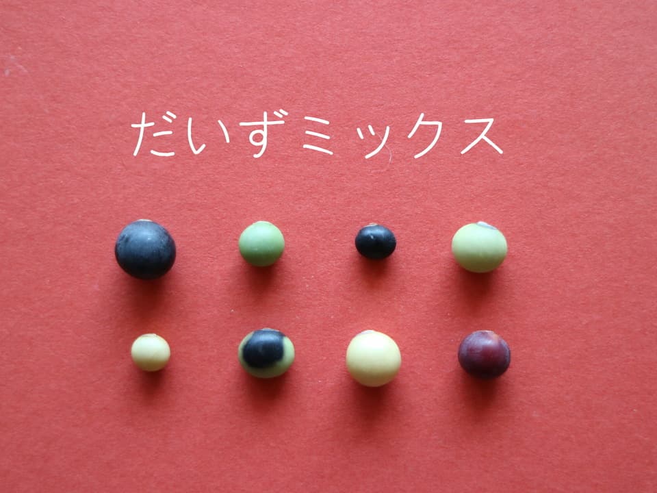豆【 だいずミックス　２００g 】北から南から、日本全国の大豆が集合！