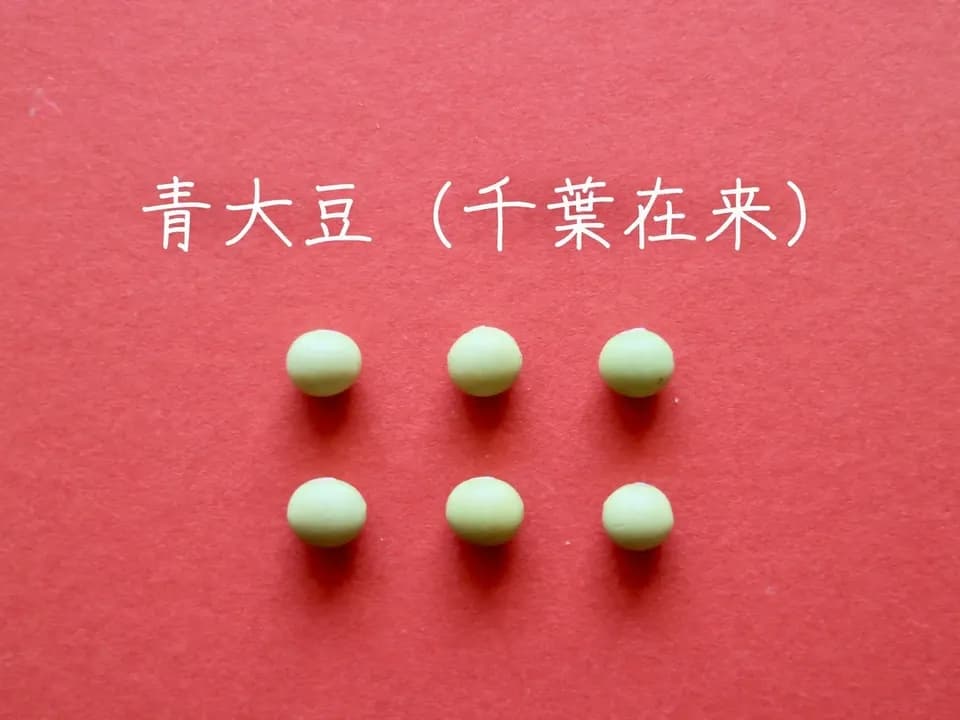 豆【青大豆（千葉在来）　２００g】上品な香りでどんな料理にも合う万能大豆