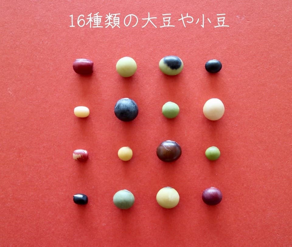 豆【小粒白大豆　２００g】忙しい時にこそ使って欲しい、小粒なお豆さん