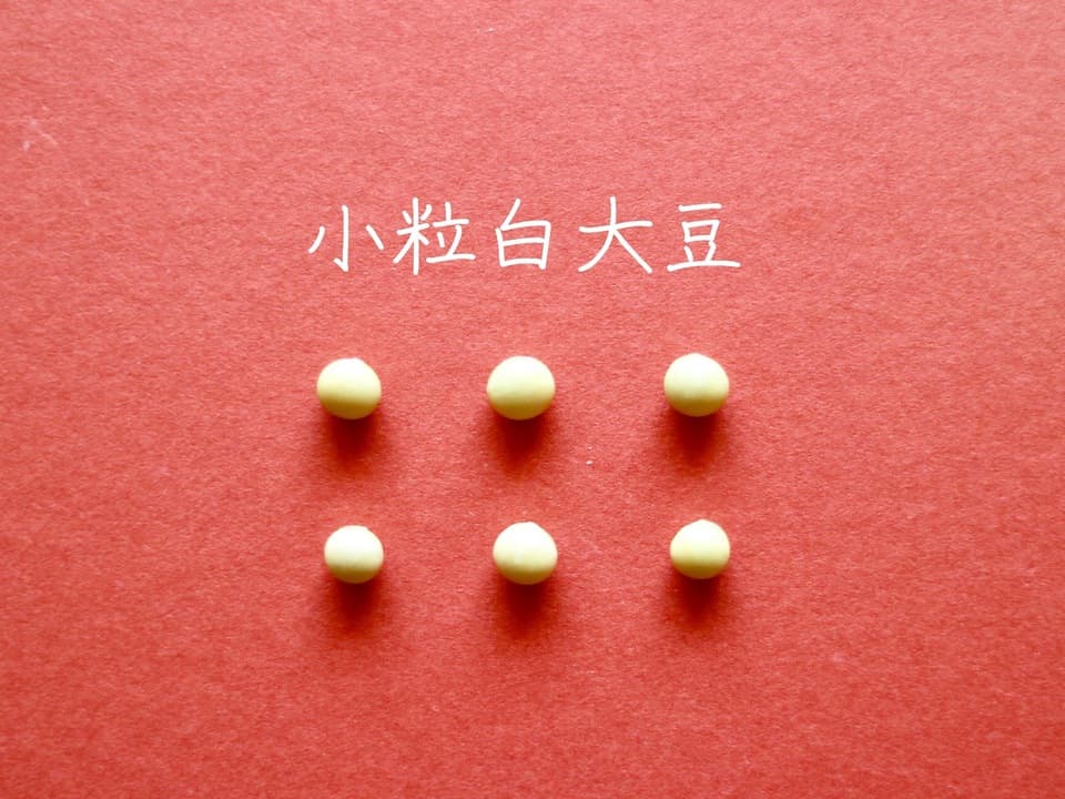 豆【小粒白大豆　２００g】忙しい時にこそ使って欲しい、小粒なお豆さん