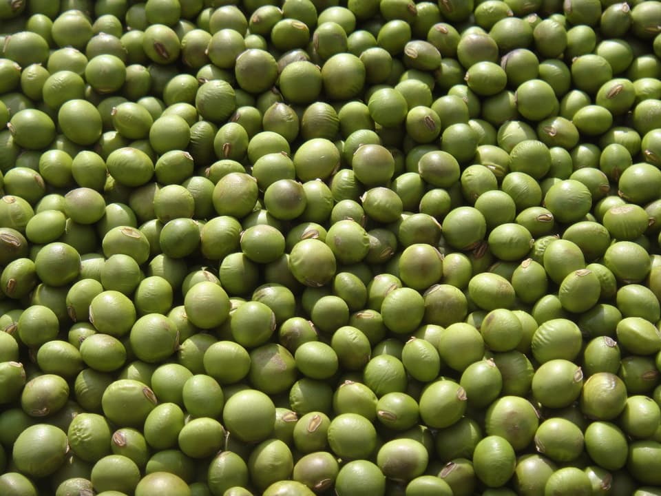 豆【小粒青大豆　２００g】忙しい時にこそ使って欲しい、小粒なお豆さん
