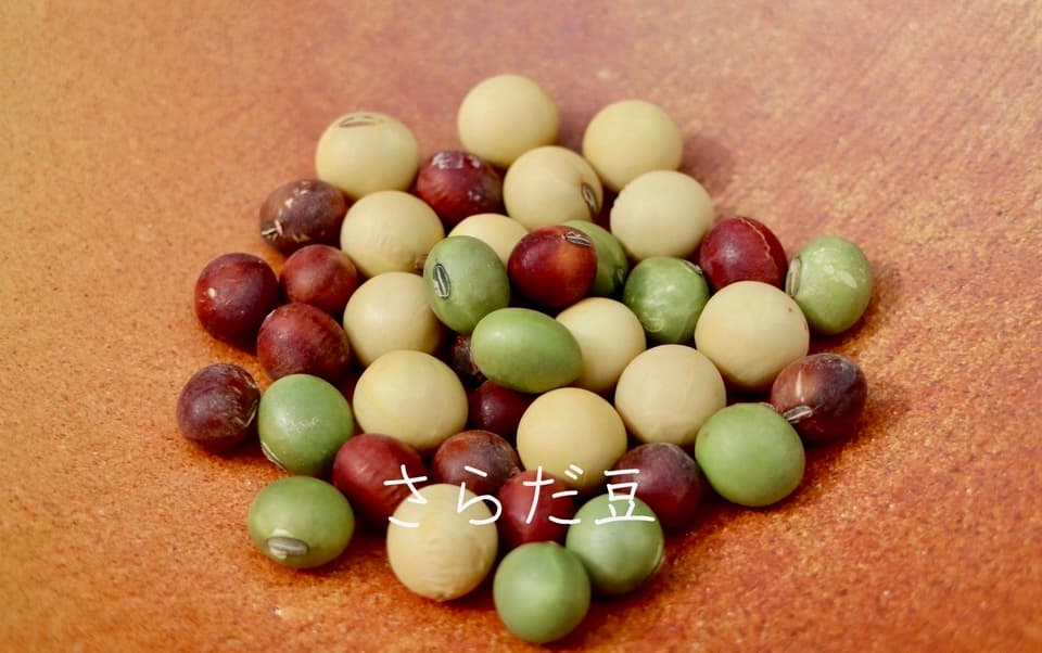 豆【３種類のミックスセット】一度に色々な大豆が楽しめます！