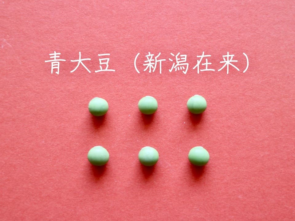 豆【青大豆（新潟在来）　２００g】塩茹ですると枝豆のような味の大豆です