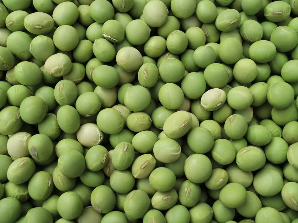 豆【青大豆（新潟在来）　２００g】塩茹ですると枝豆のような味の大豆です