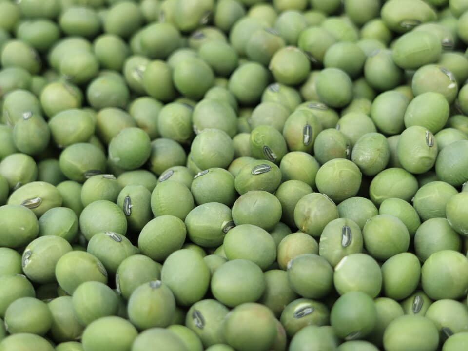 豆【あおばた豆　２００g】色も味も深く濃い青大豆