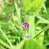 サムネイル 5