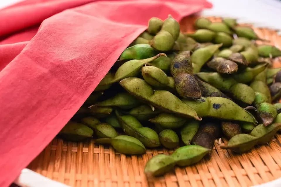 とにかく甘くて濃厚！＜丹波白大豆枝豆　５００g＞無農薬・無化学肥料栽培