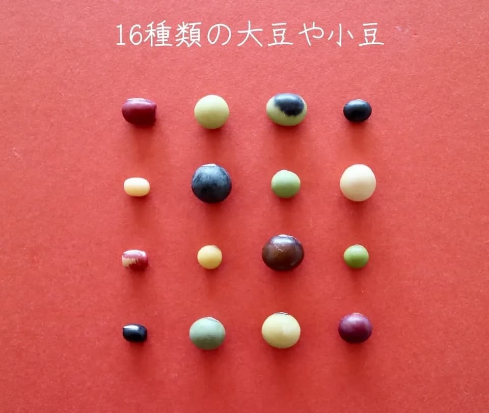 豆【お正月用　丹波黒大豆　２００g　８袋】本場丹波篠山産の丹波黒です