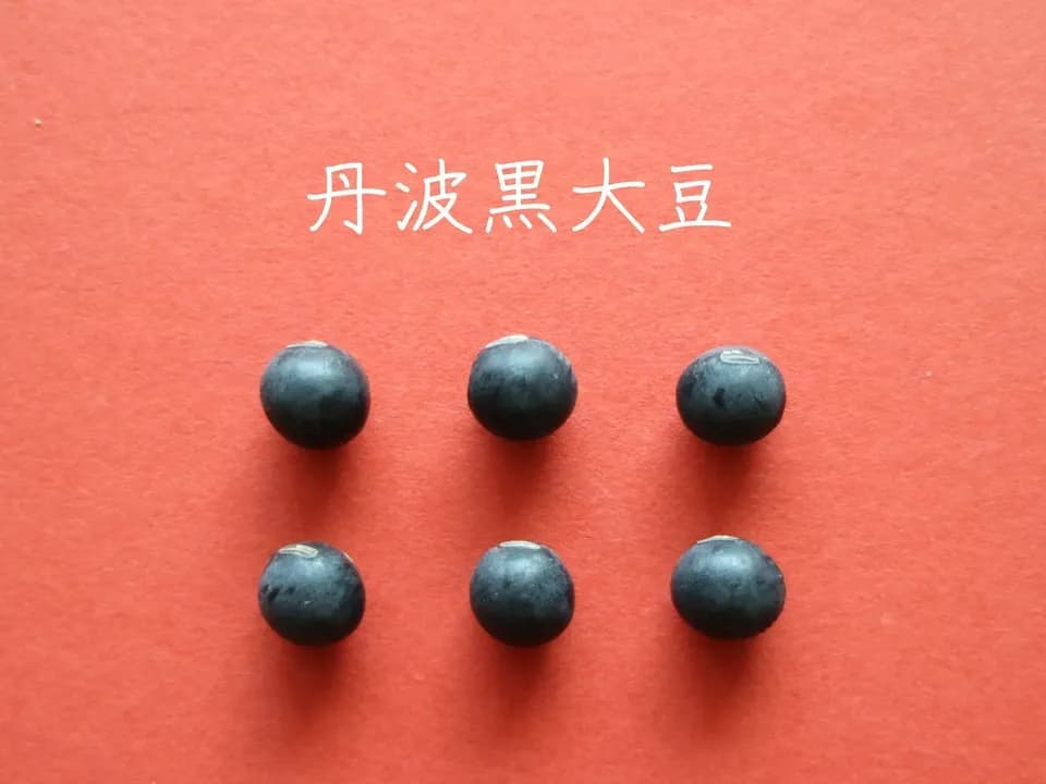 豆【お正月用　丹波黒大豆　２００g　８袋】本場丹波篠山産の丹波黒です