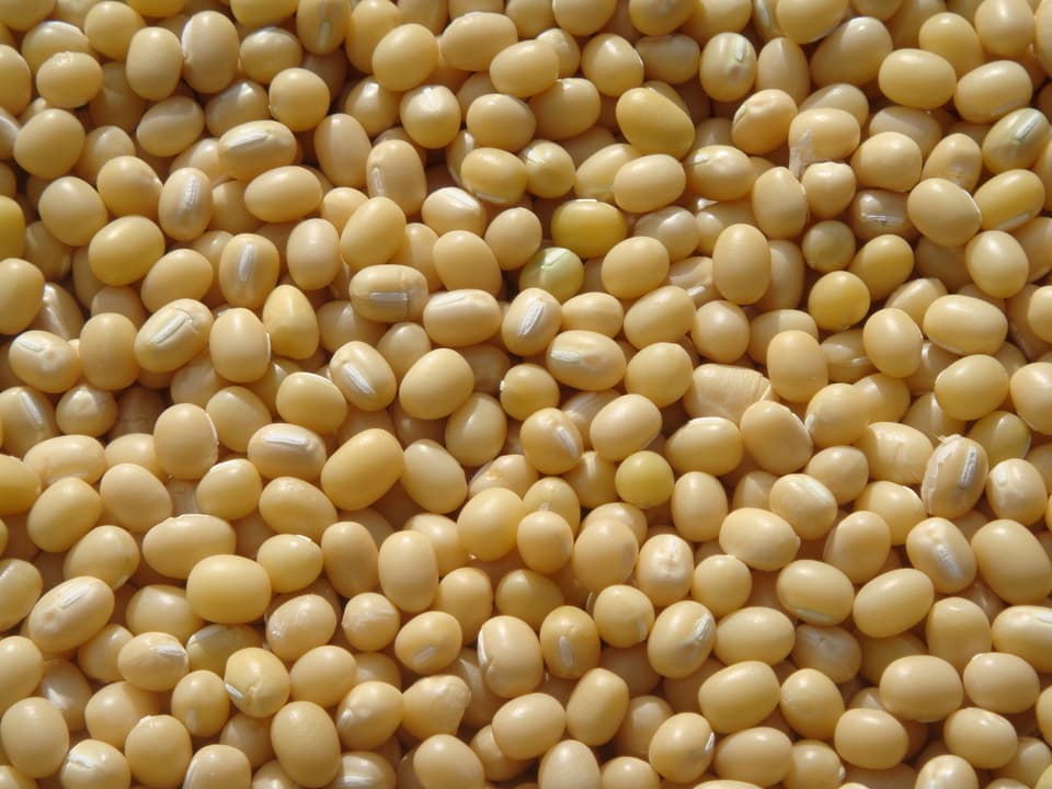 豆【丹波白小豆　２００g】上品すぎる姿と味・・・純度100％の白餡は絶品です