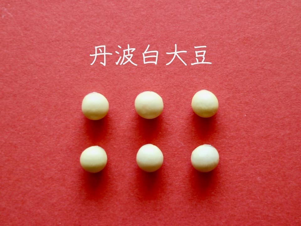 豆【丹波白大豆　２００g　９袋】
