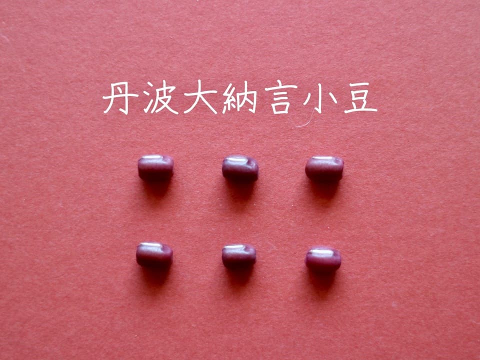 豆【丹波大納言小豆　２００g】味よし大きさよし香りよし、希少なブランド小豆です