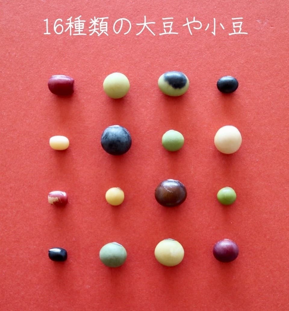 豆【丹波大納言小豆　２００g】味よし大きさよし香りよし、希少なブランド小豆です