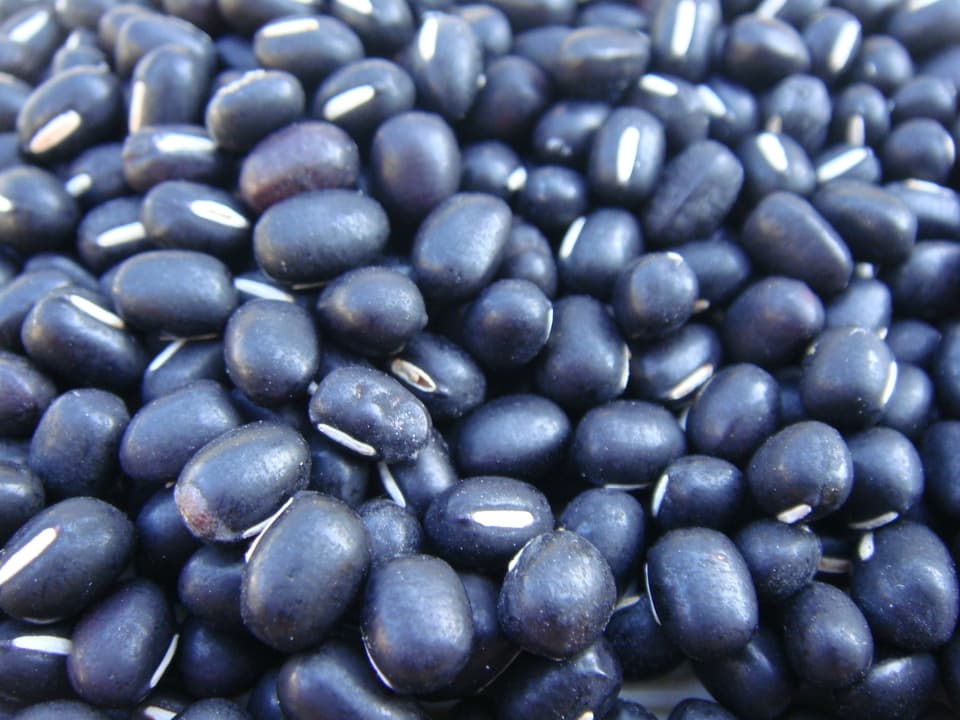 豆【黒小豆　２００g】小粒でも栄養満点！コク深い小豆です