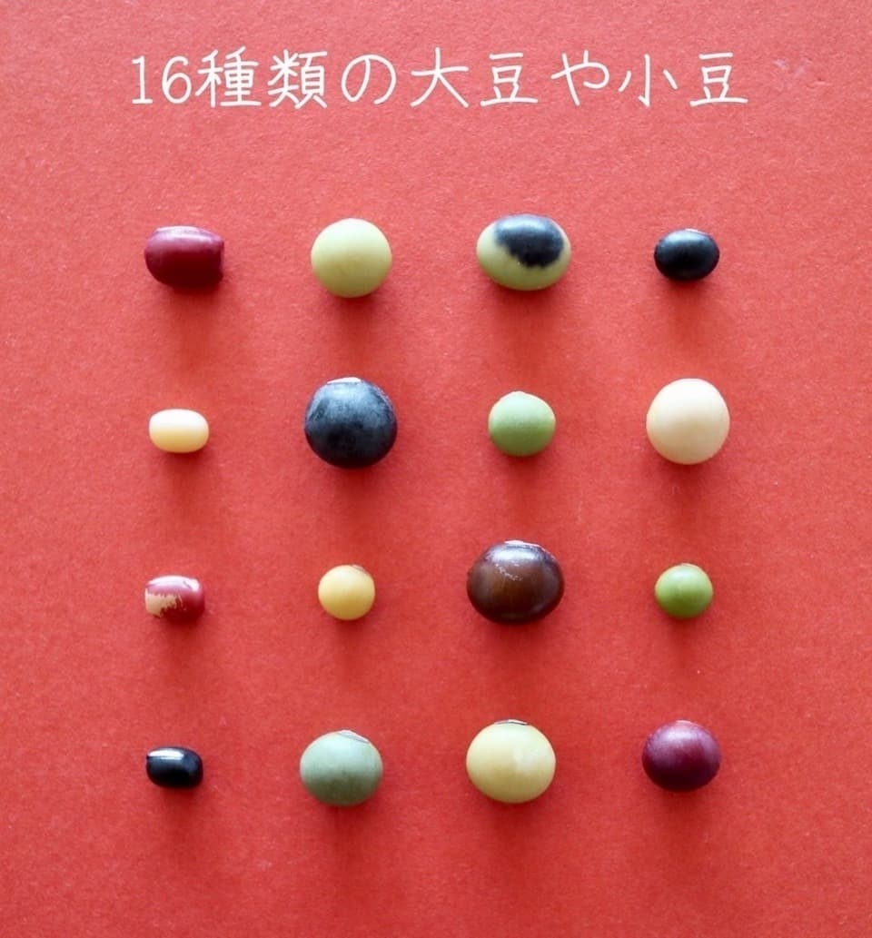 豆【花嫁小豆　２００g】見た目からは想像できないワイルドな味