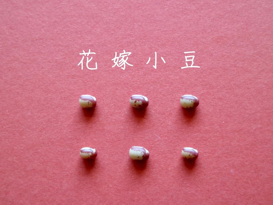 豆【花嫁小豆　２００g】見た目からは想像できないワイルドな味