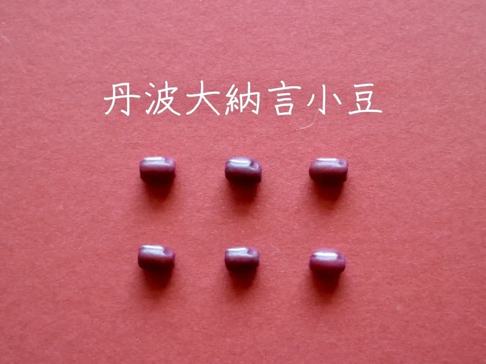 送料無料　豆【丹波大納言小豆　２００g　６袋】味よし大きさよし香りよし、希少なブランド小豆です