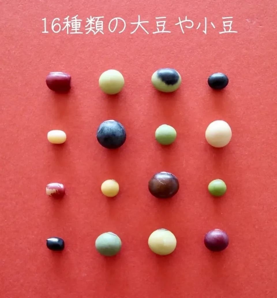 丹波大納言小豆　２００g　９袋