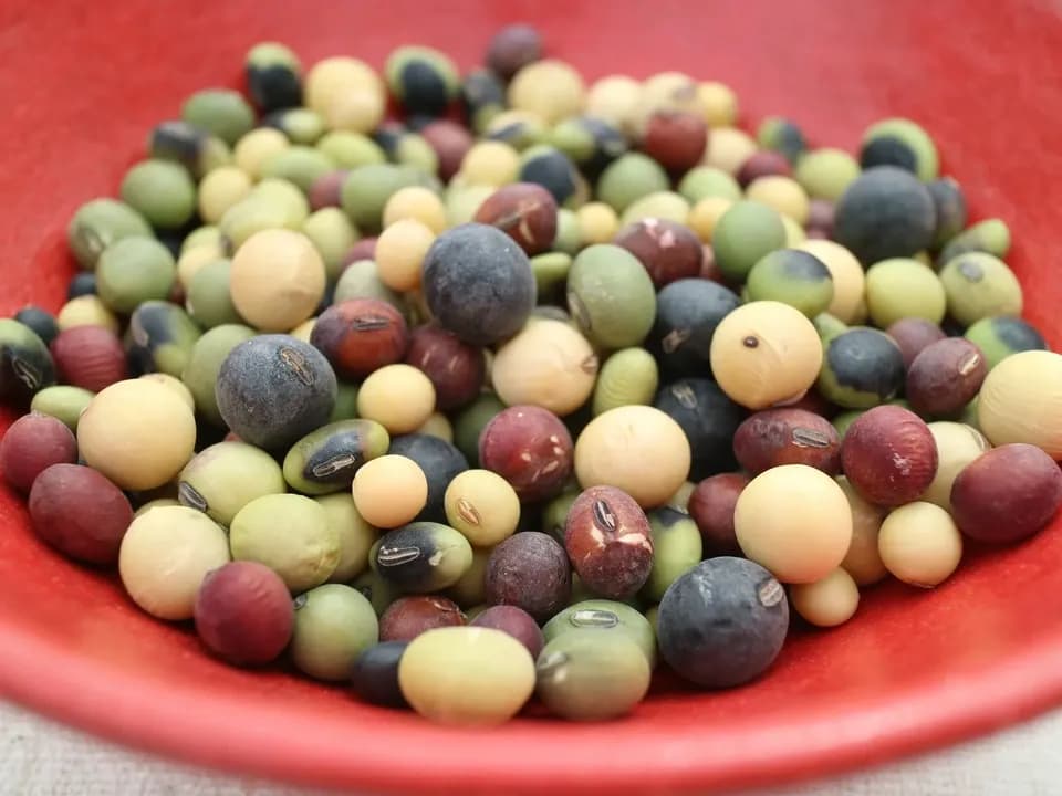 【 だいずミックス　200g・ごはん豆200g 】