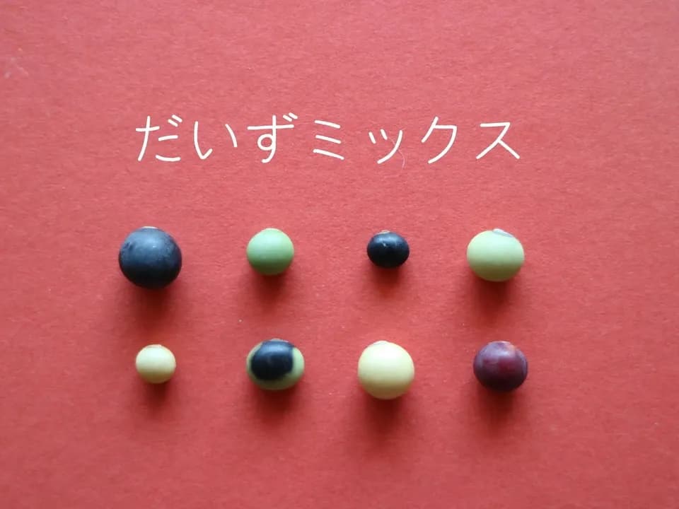 【 だいずミックス　200g・ごはん豆200g 】