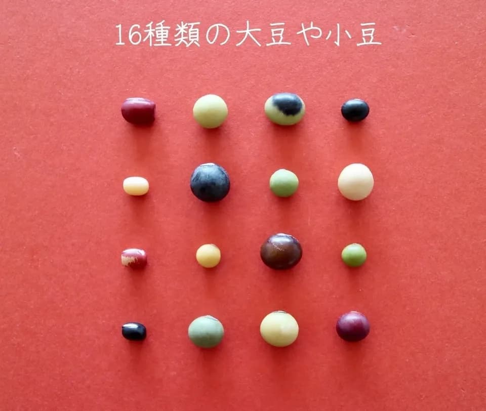 【 だいずミックス　200g・ごはん豆200g 】