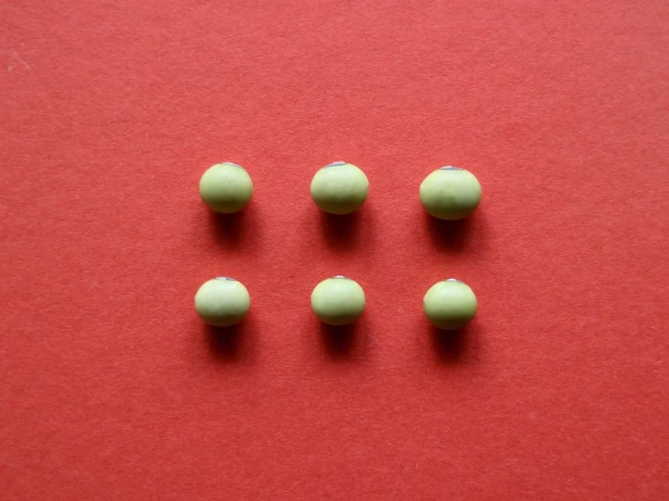 豆【サトウイラズ　２００g】砂糖がいらないくらい甘みの強い大豆です