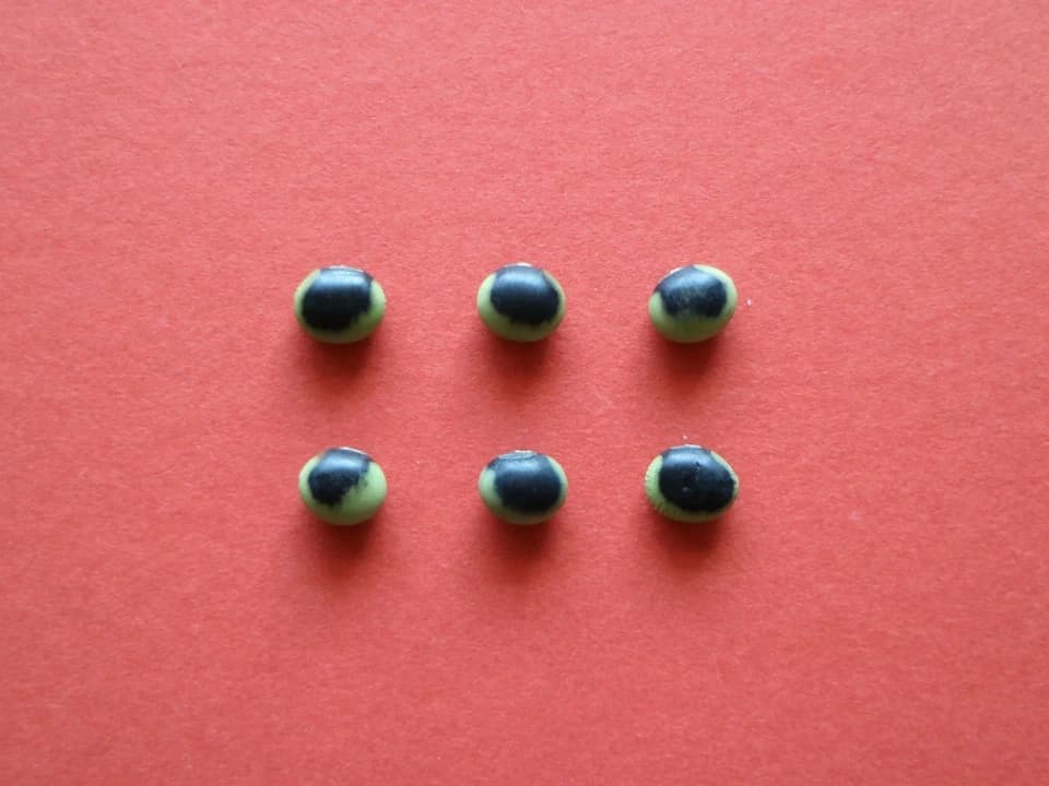 豆【鞍掛豆　２００g】ユニークな模様とコリコリ食感が特徴の大豆です