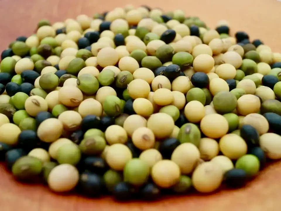 豆【ごはん豆　２００g   9袋】小粒で主張しすぎないのに栄養満点！