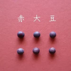 豆【赤大豆　２００g】料理に彩りを添える大豆です