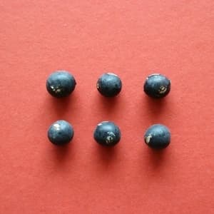 豆【訳あり丹波黒大豆　２００g】皮の破れやシワがあっても、味は丹波黒！