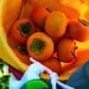 サムネイル 7