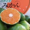 サムネイル 1