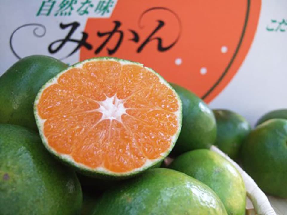有機栽培温州みかん [有機JAS]