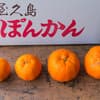 サムネイル 9
