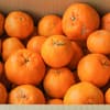 サムネイル 10