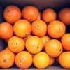 サムネイル 4