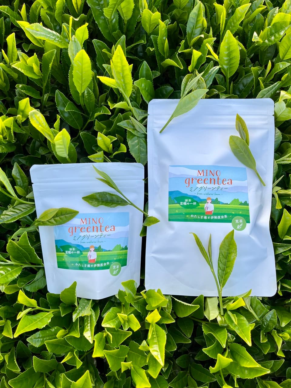 2026年新茶　煎茶＜至極の一杯＞（荒茶）リーフ　期間限定販売