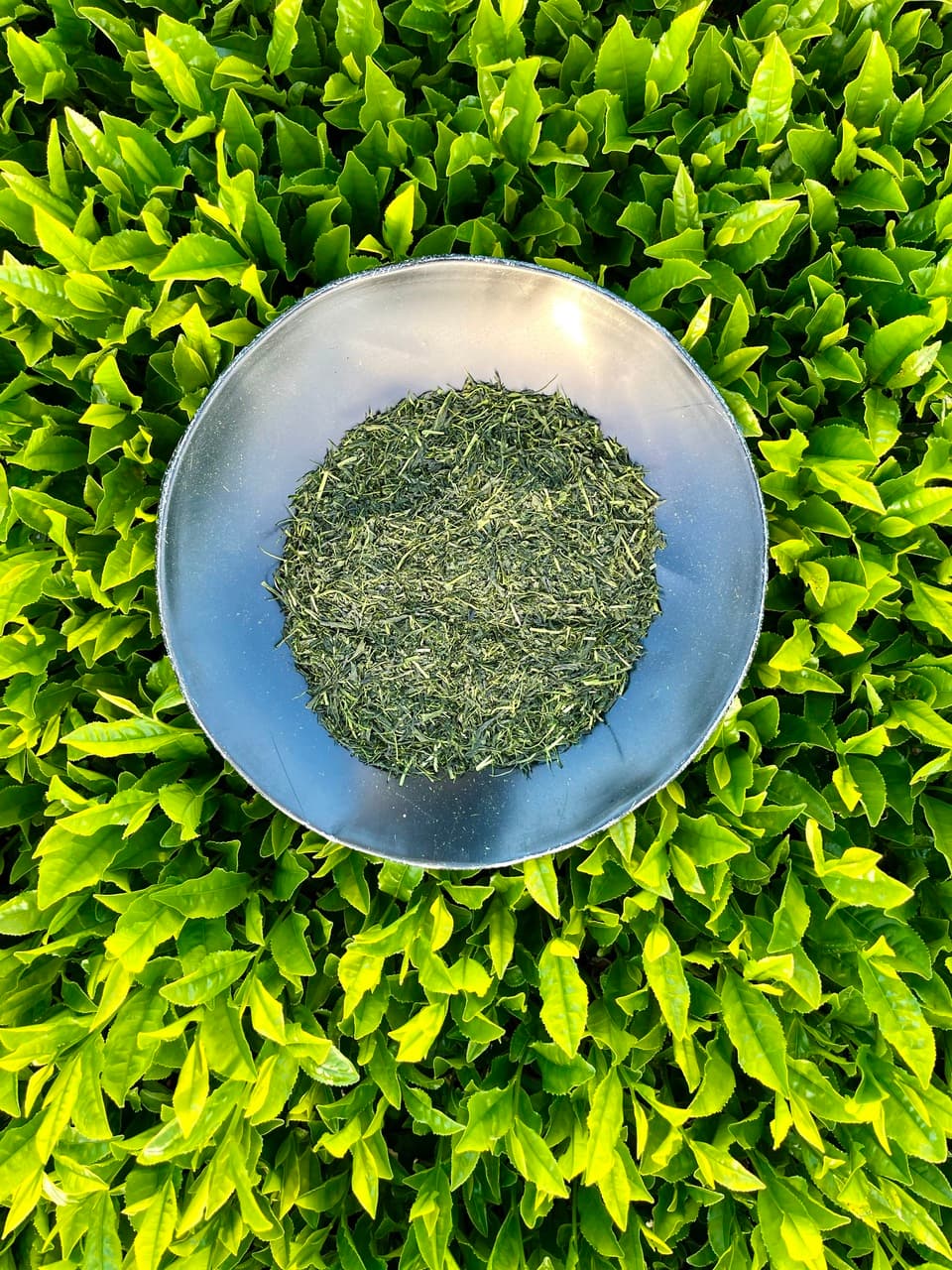 2026年新茶　煎茶＜至極の一杯＞（荒茶）リーフ　期間限定販売