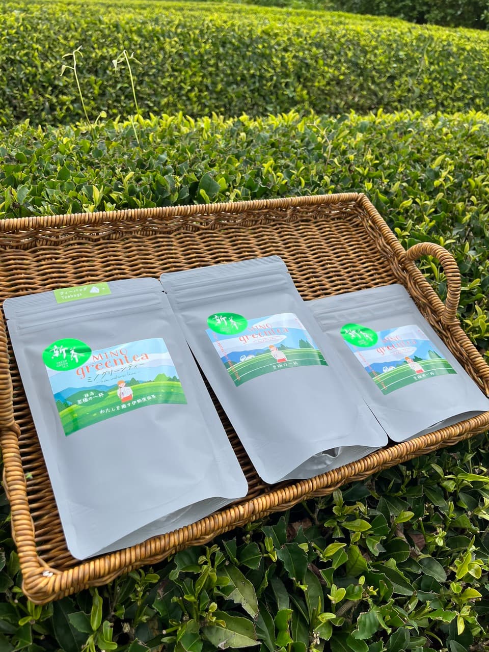 2026年新茶 在来種 煎茶＜至極の一杯＞リーフ　ティーバッグ