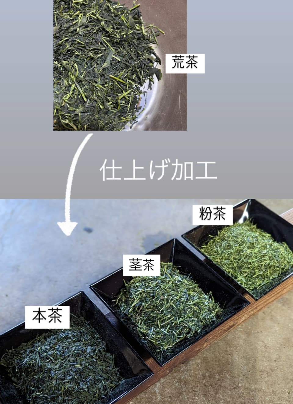 2026年新茶 在来種 煎茶＜至極の一杯＞リーフ　ティーバッグ