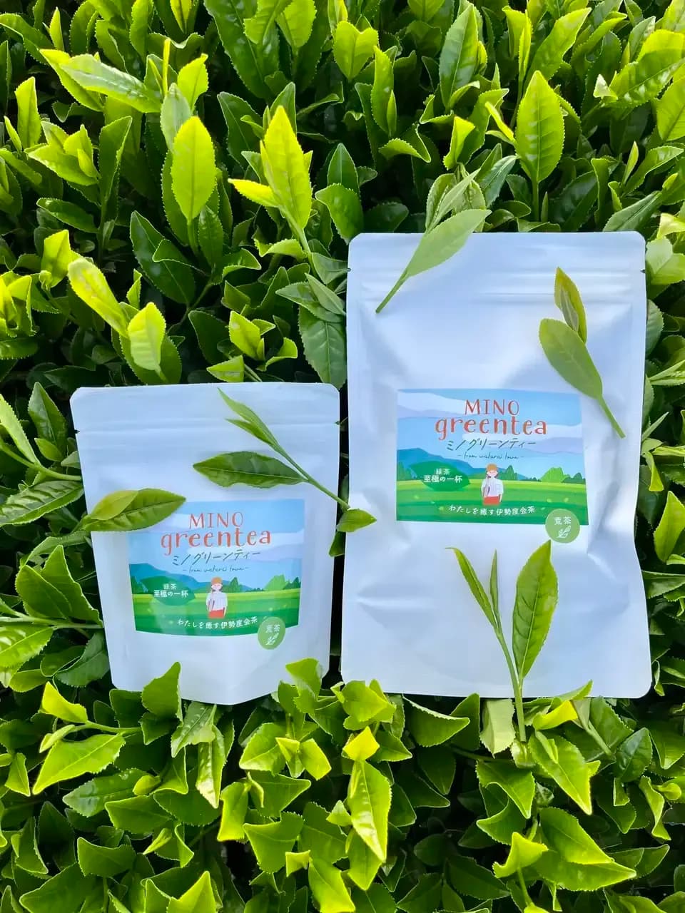 【母の日】新茶ギフト 湯呑みセット　農薬・化学肥料を使わず育てた2026年産の新茶（荒茶）詰め合わせ