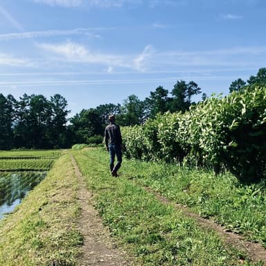 【出品のごあいさつ】Minowa Tea Garden